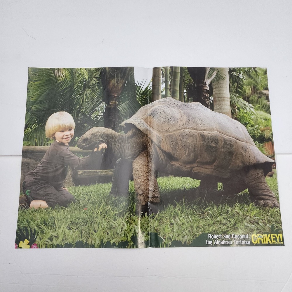 Robert Irwin Coconut Aldabran Tortoise Crikey centerfold clipping 11.5x16